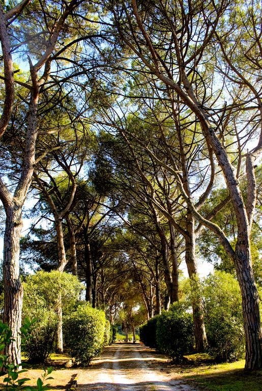Casa di campagna Silj *